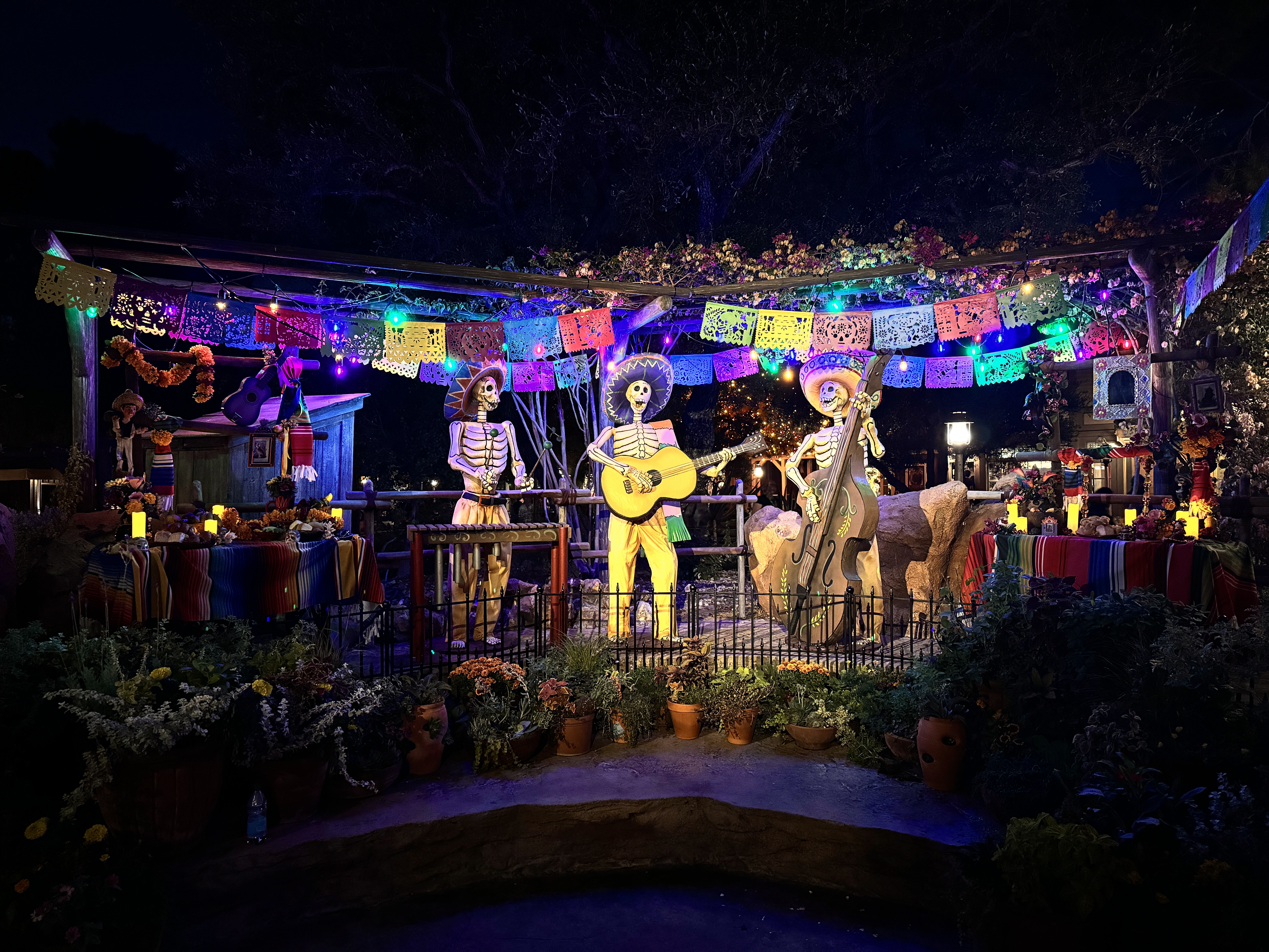 Halloween Decorations