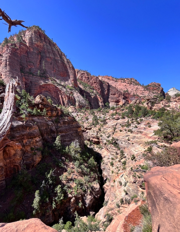 Zion National Park