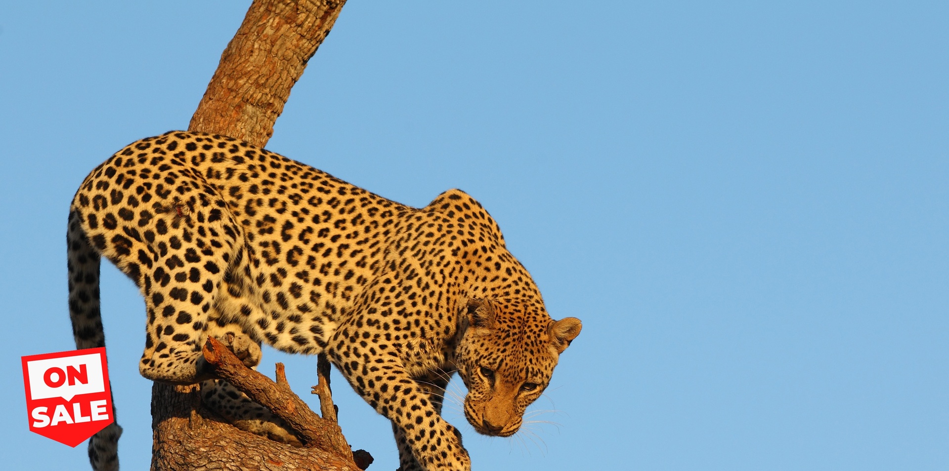 The Best of Zimbabwe, Botswana & Namibia